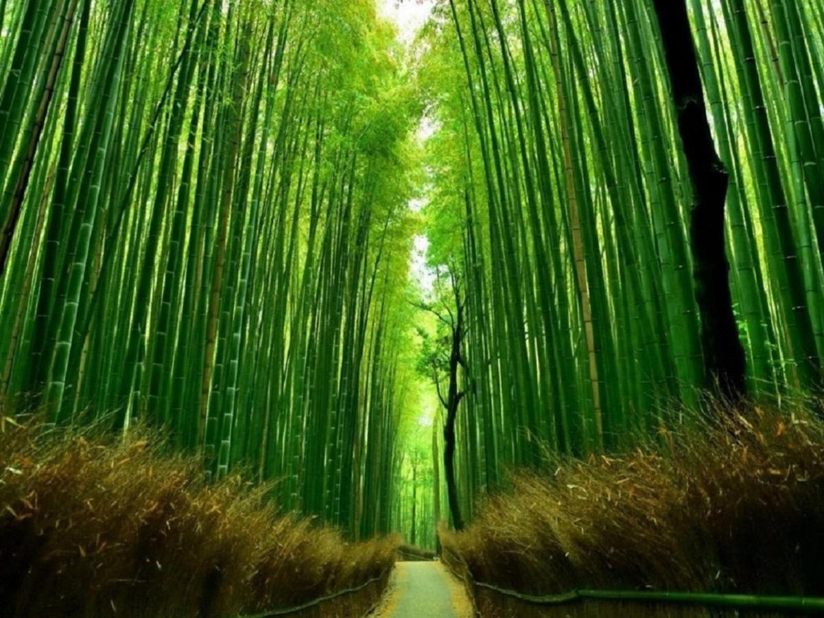 Kamo River J~House Kyoto Dış mekan fotoğraf